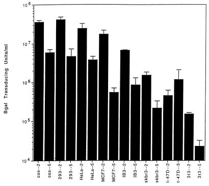 FIG. 7