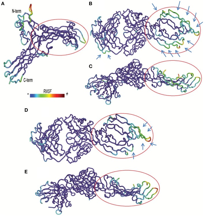 Figure 5