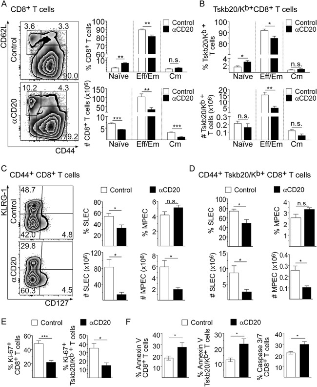 FIG 2