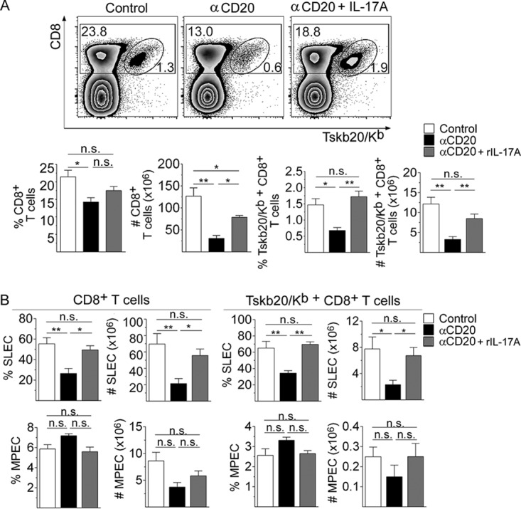 FIG 6