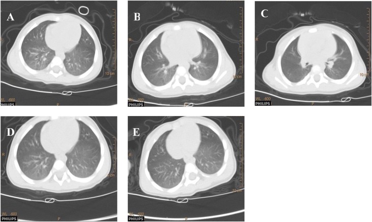 Fig. 2