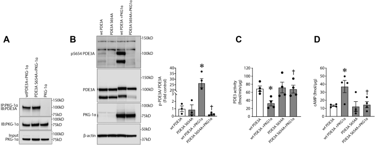 Figure 6