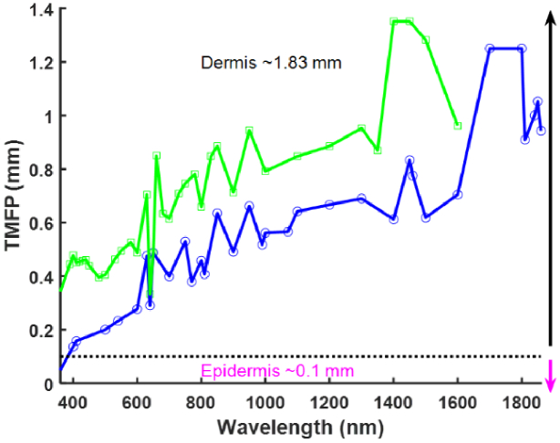 Fig. 9.