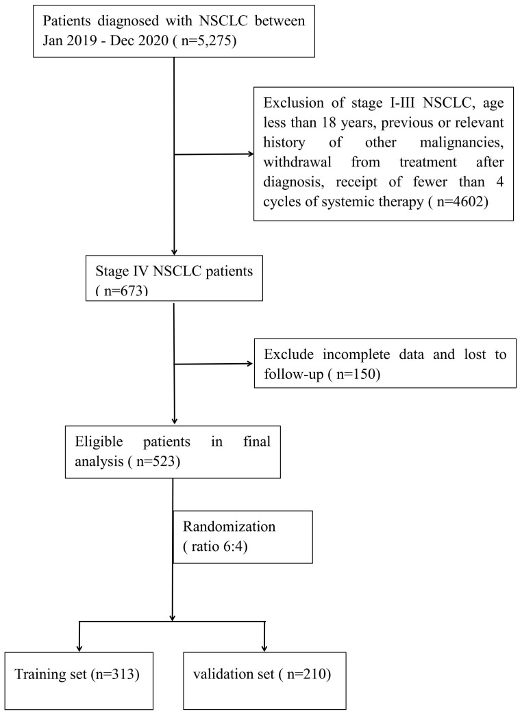 Figure 1