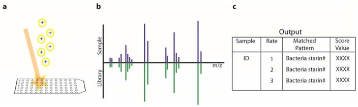 Mass Spectrometry Tools And Workflows For Revealing Microbial Chemistry 