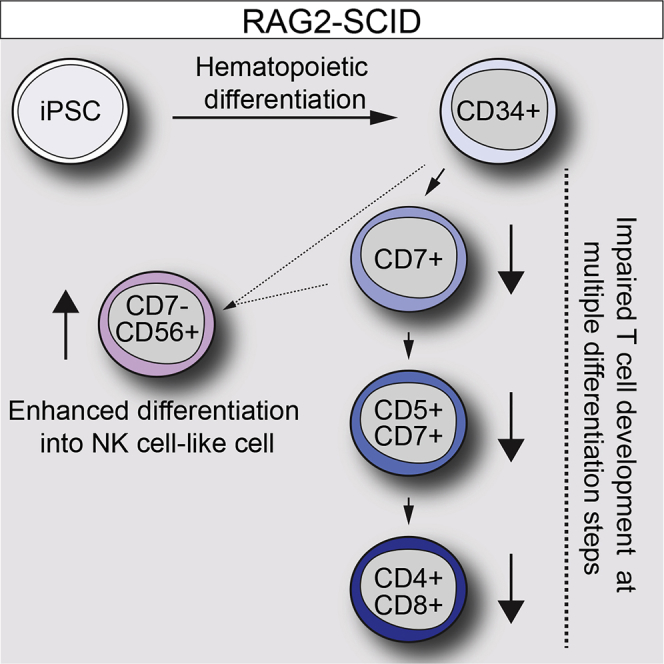 graphic file with name fx1.jpg