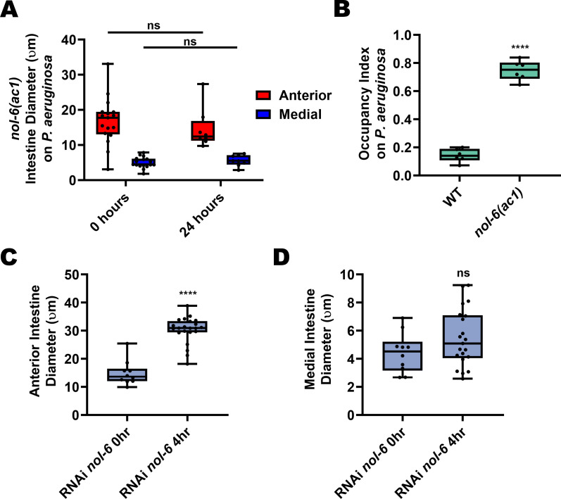 Figure 2—figure supplement 2.