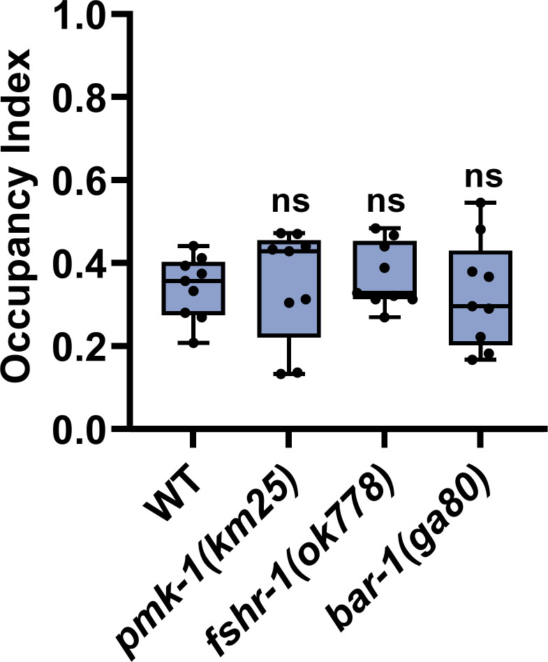 Figure 3—figure supplement 1.