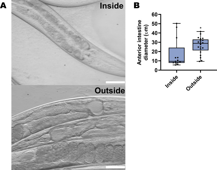 Figure 2—figure supplement 1.