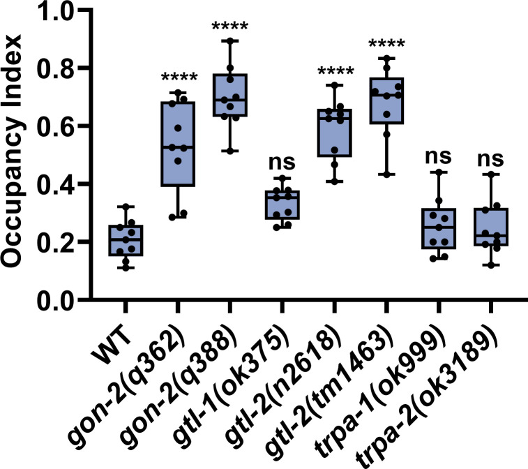 Figure 7—figure supplement 1.