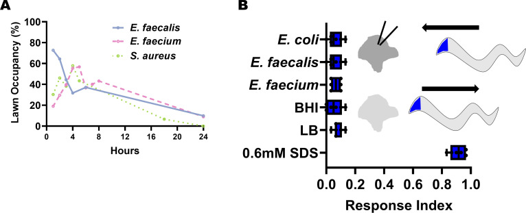 Figure 1—figure supplement 1.