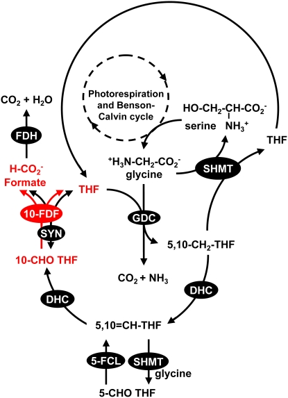 Figure 10.