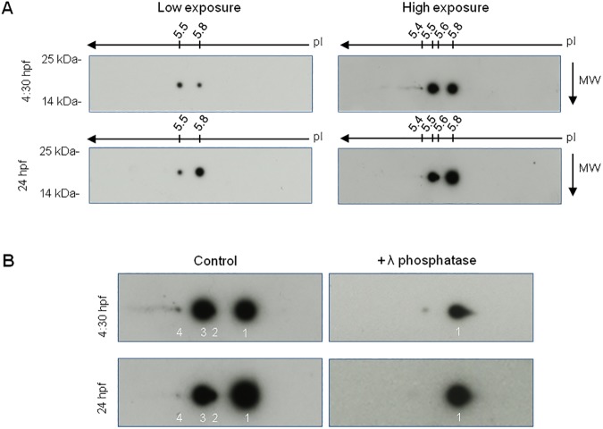 Fig 4