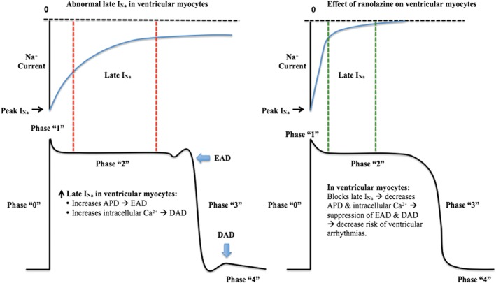 CLC-22476-FIG-0003-c