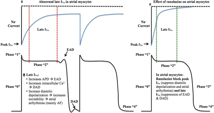 CLC-22476-FIG-0002-c