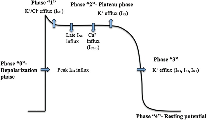 CLC-22476-FIG-0001-c