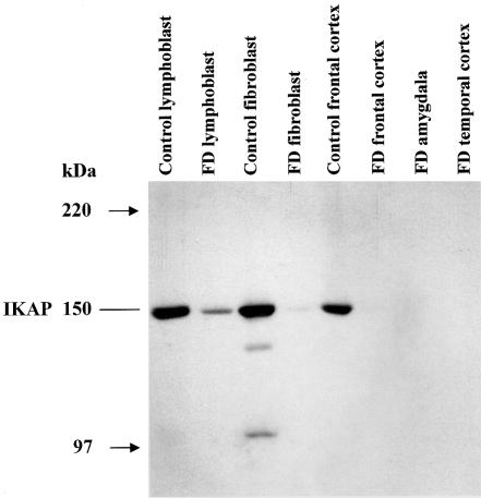 Figure  4