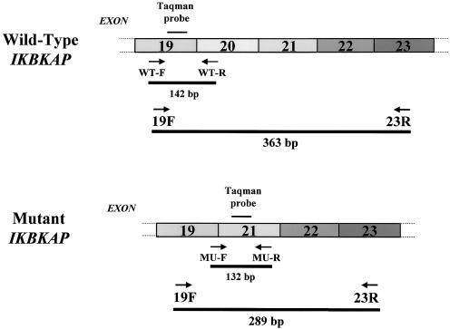 Figure  1