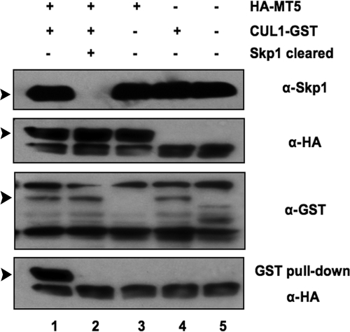 FIG. 4.