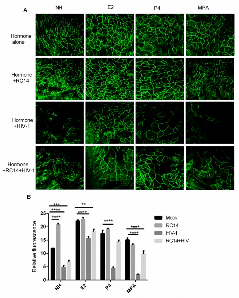 Figure 6