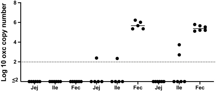 Figure 6—figure supplement 2.