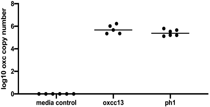 Figure 6—figure supplement 1.