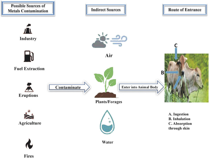 FIGURE 1