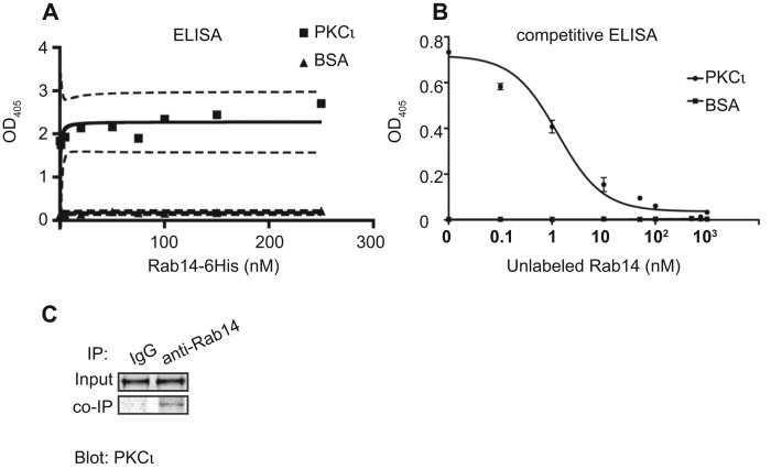 FIGURE 5: