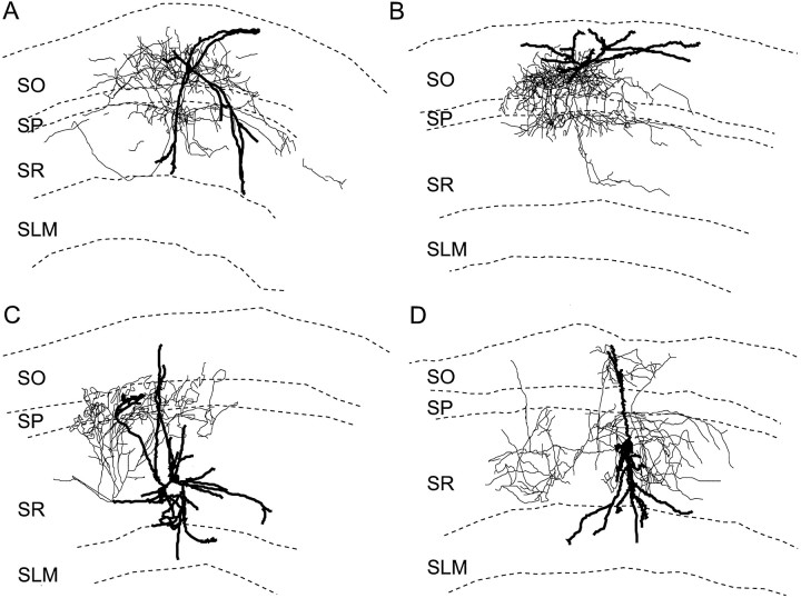 Fig. 8.