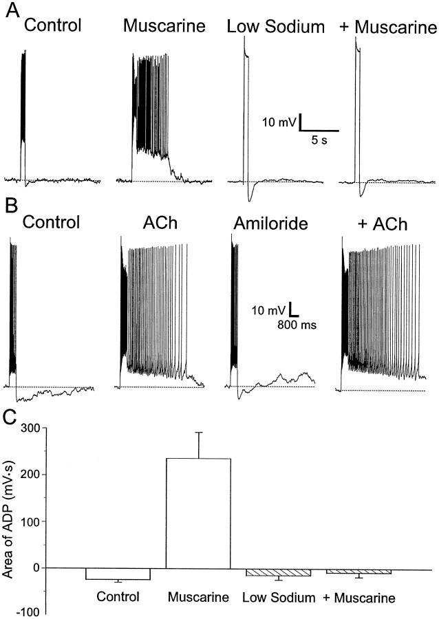 Fig. 6.