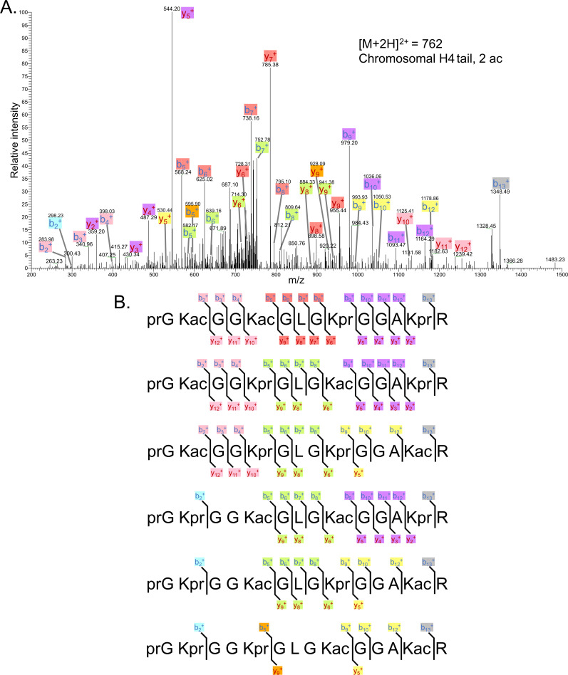 Figure 3—figure supplement 4.