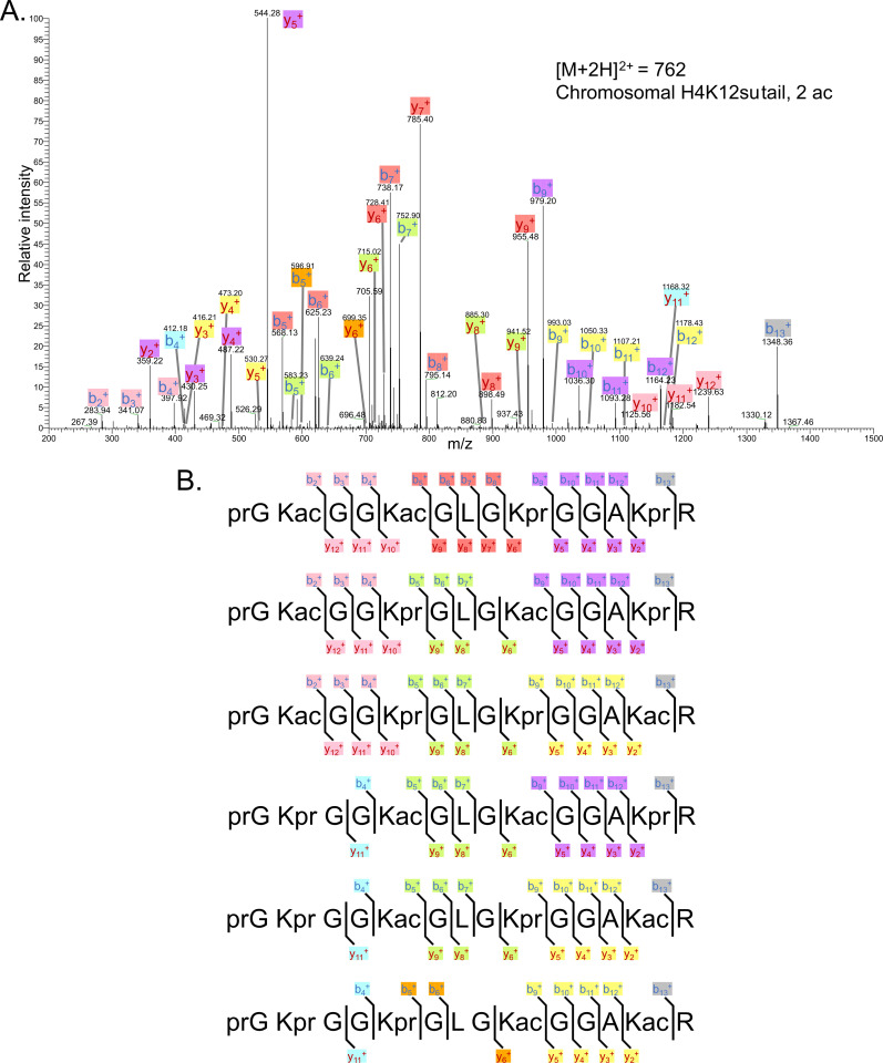 Figure 3—figure supplement 6.