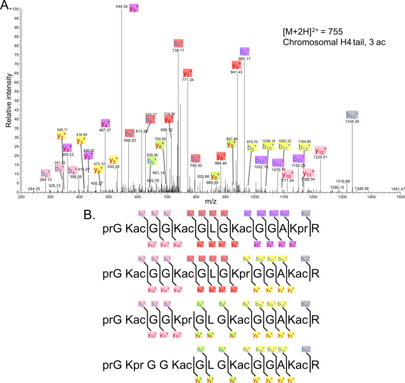 Figure 3—figure supplement 3.