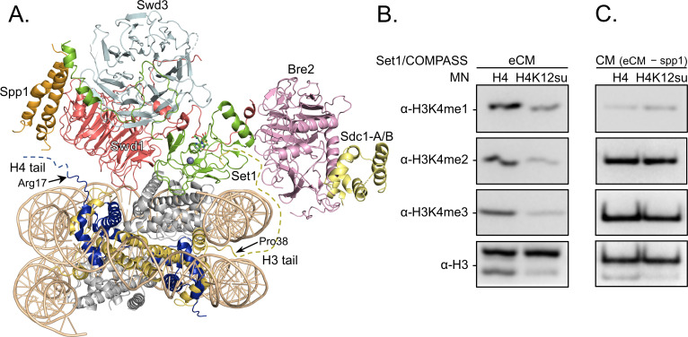 Figure 5.