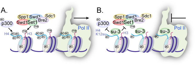 Figure 7.