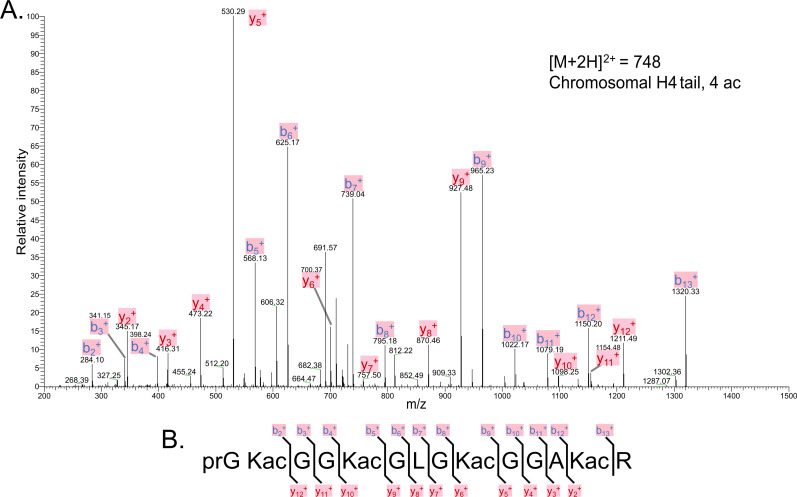 Figure 3—figure supplement 2.