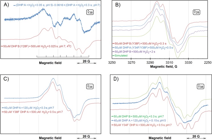 FIGURE 7.