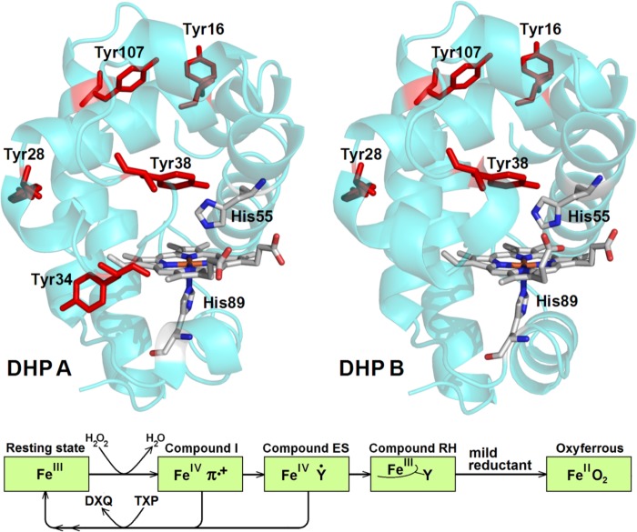 FIGURE 1.