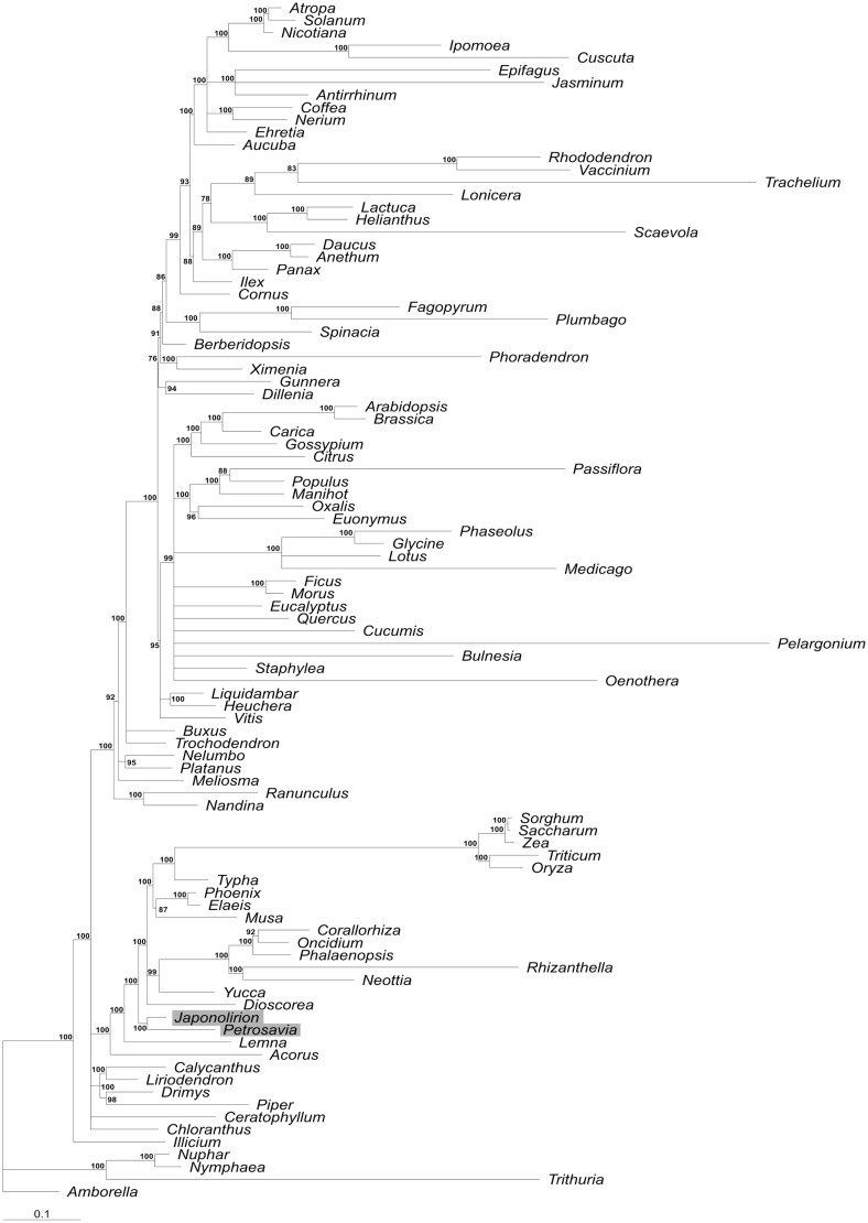 Fig. 2.—