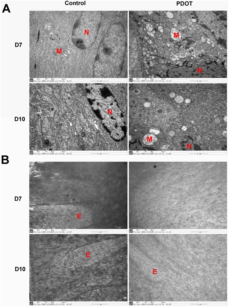 Fig 10