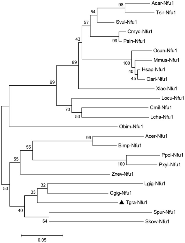 Figure 2