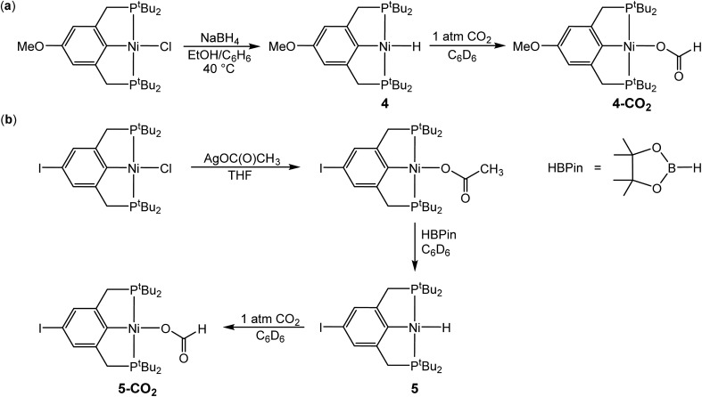 Scheme 3