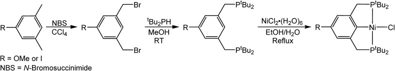 Scheme 2