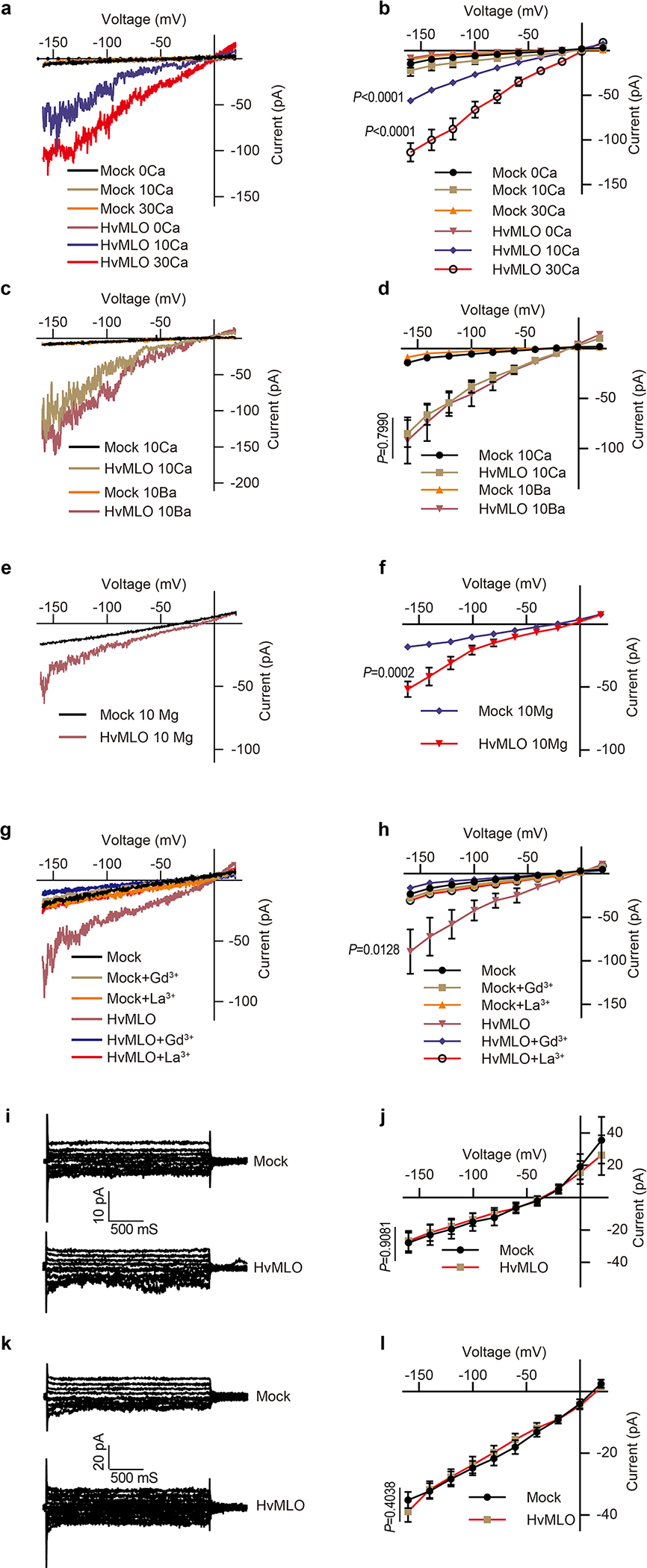 Extended Data Fig.6 |