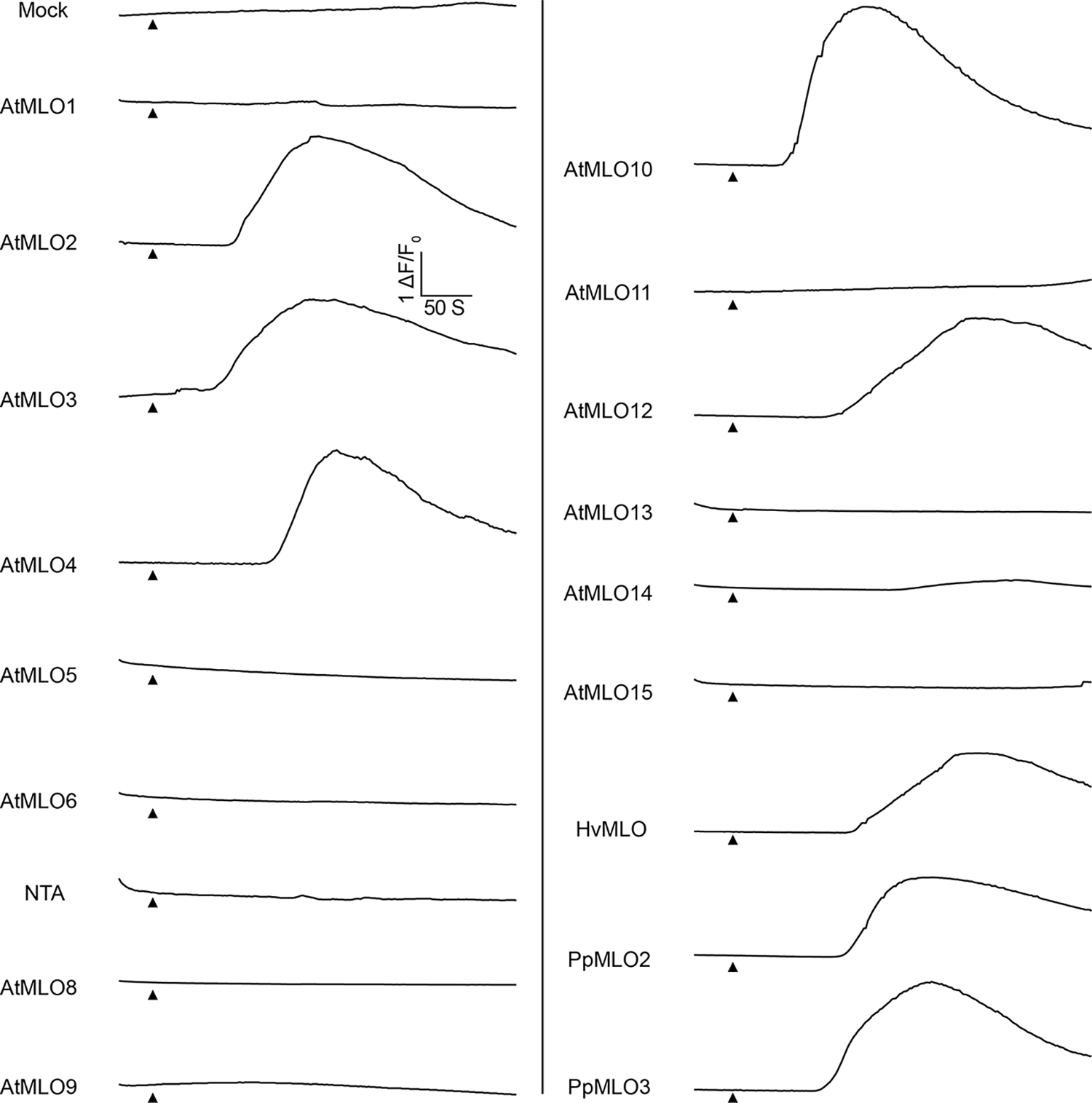 Extended Data Fig.4 |