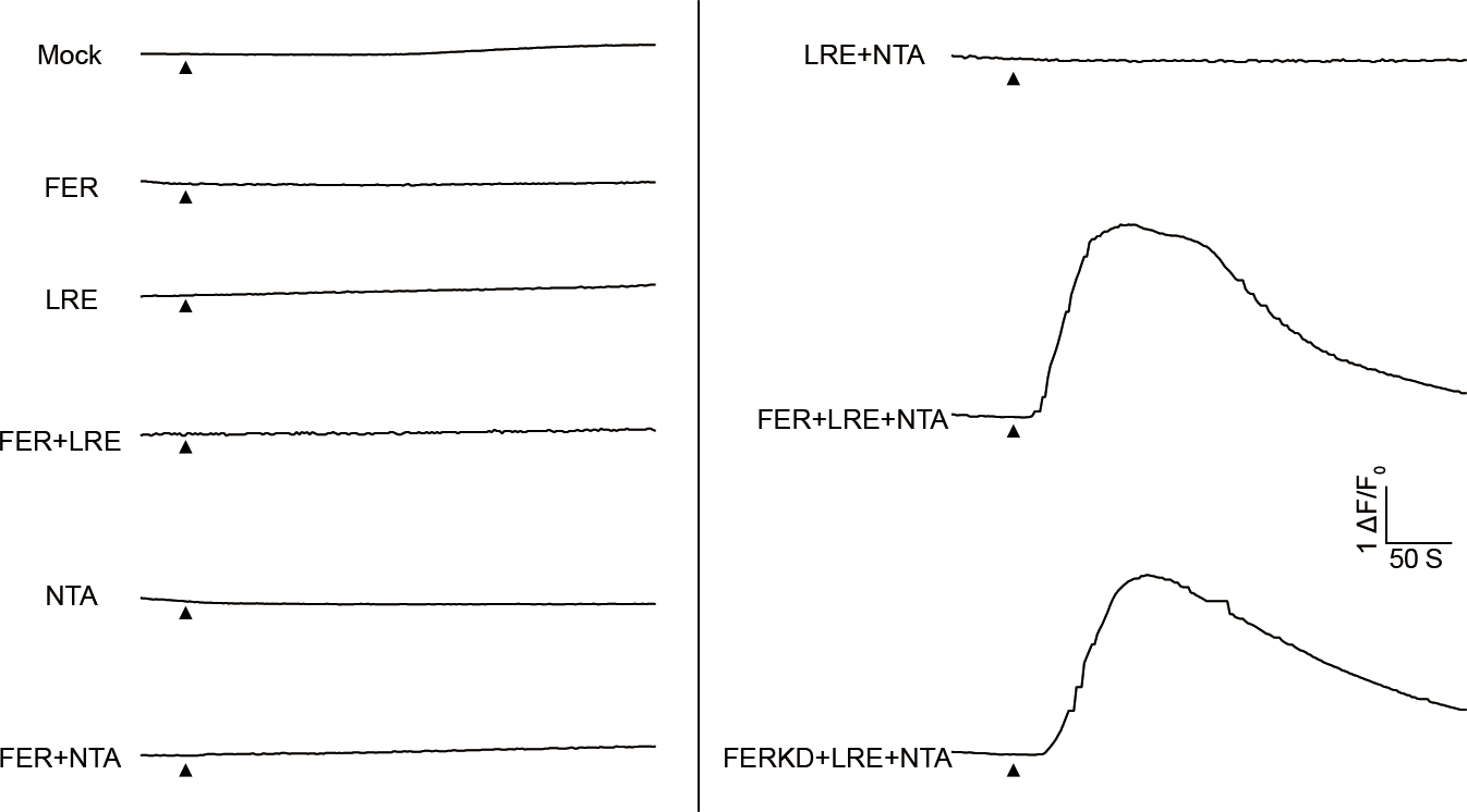 Extended Data Fig.7 |