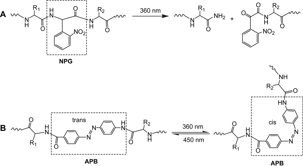 Fig. 12