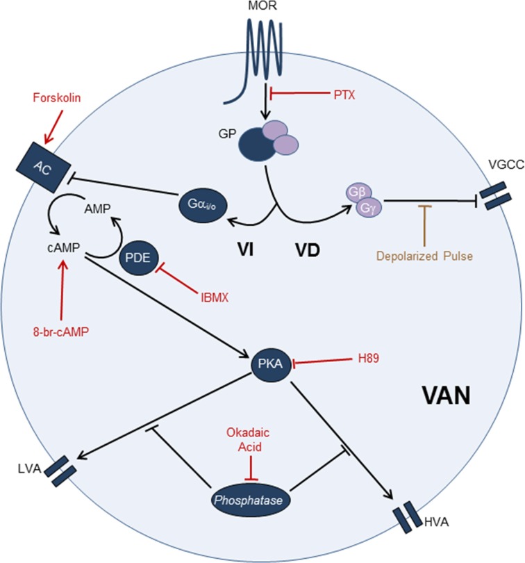 Figure 10