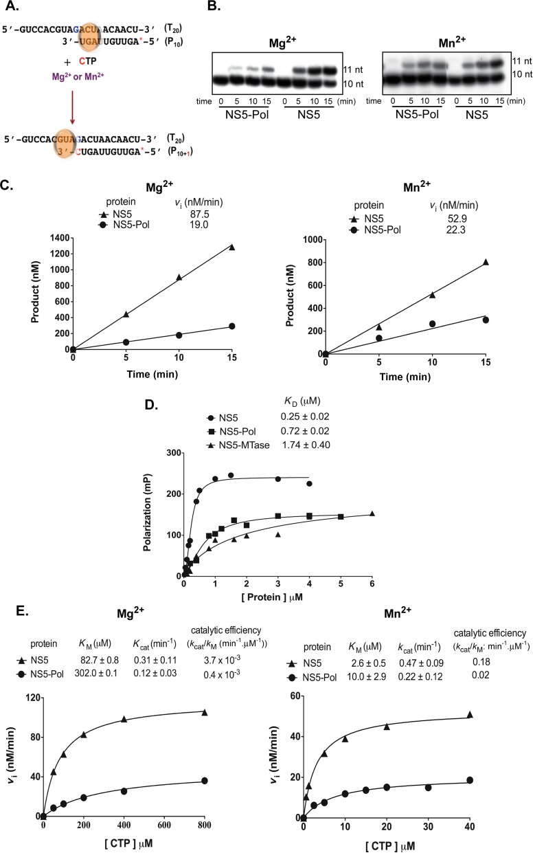 Figure 6.