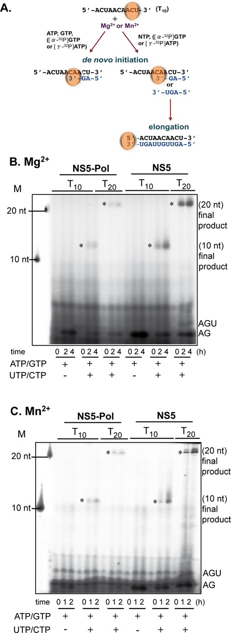 Figure 5.